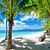 preiswerte Tapete-wandbild tapete wandaufkleber druck kleber erforderlich landschaft palm strand meer leinwand wohnkultur