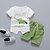 preiswerte Kleidersets für Jungen-Baby Jungen Kleidungsset Outfit Bedruckt Bedruckt Kurzarm Baumwolle Set Schulanfang Frühling Sommer Aktiv Rosa Blau Grün