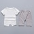 preiswerte Kleidersets für Jungen-Baby Jungen Kleidungsset Outfit Bedruckt Bedruckt Kurzarm Baumwolle Set Schulanfang Frühling Sommer Aktiv Rosa Blau Grün