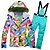 cheap Ski Wear-ARCTIC QUEEN Women&#039;s Ski Jacket with Bib Pants Ski Suit Outdoor Thermal Warm Waterproof Windproof Breathable Winter Snow Suit Clothing Suit for Ski / Snowboard Winter Sports / Long Sleeve
