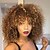 cheap City to Beach-Synthetic Wig Kinky Curly Kinky Curly Wig Medium Length Blonde Synthetic Hair Women&#039;s Highlighted / Balayage Hair Blonde