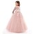 cheap Vintage Dresses-Princess Lace Prom Dress Flower Girl Dress 3-13 Years Kids Little Girls&#039; Floral Lace Party Wedding Evening Hollow Out Lace Tulle Maxi Short Sleeve Flower Gowns Wedding Guest