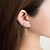abordables Pendientes-Mujer Puños del oído Alpinistas Zirconia Cúbica Plateado Moda Aretes Joyas Plata Para 1 PC Fiesta Boda