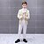 cheap Cosplay &amp; Costumes-Prince Aristocrat Retro Vintage Medieval Coat Pants Outfits Masquerade Kid&#039;s Boys Costume Hat Vintage Cosplay Long Sleeve Party Queen&#039;s Platinum Jubilee 2022 Elizabeth 70 Years Pantsuit Coat / Collar