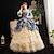 cheap Cosplay &amp; Costumes-Rococo Victorian Medieval Vintage Dress Party Costume Prom Dress Floor Length Plus Size Bridal Women&#039;s Ball Gown Halloween Wedding Party Prom Dress Winter