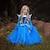 abordables Cosplay &amp; Disfraces-Cenicienta Princesa Aurora Chica Vestidos Vestido de niña de las flores Cosplay de película Enagua de línea A vestido de vacaciones Rosa Azul Navidad Víspera de Todos los Santos Mascarada Vestido