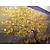 abordables Peintures à l&#039;Huile-peinture à l&#039;huile 100% fait main peint à la main art mural sur toile arbre jaune plante horizontale abstrait moderne décoration de la maison décor toile roulée avec cadre tendu