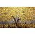 abordables Peintures à l&#039;Huile-peinture à l&#039;huile 100% fait main peint à la main art mural sur toile arbre jaune plante horizontale abstrait moderne décoration de la maison décor toile roulée avec cadre tendu