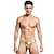 cheap Cosplay &amp; Costumes-Men&#039;s Adults&#039; Sexy T-Back Solid Color Lingerie
