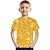 billige T-shirts &amp; Trøjer til Drenge-Børn Drenge T-shirt Kortærmet 3D-udskrivning Regnbue 3D Print Farveblok Blå Gul Guld Børn Toppe Sommer Basale Gade Sport Skole udendørs