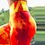 billige Trænings-, fitness- og yogatøj-Dame Yoga Bukser Mavekontrol Balleløft 4-vejs strækning Scrunch Butt Balleløft Fitness Gym Træning Løb Høj Talje Batikfarvet Strømpebukser Leggins Underdele Mørkegul Lys pink Rød Vinter Sport