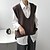 cheap Sweaters-Women&#039;s Sweater Vest Jumper Knit Knitted Thin Plain V Neck Basic Fall Black Gray One-Size / Sleeveless / Sleeveless / Loose
