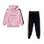 cheap Running &amp; Jogging Clothing-Girls&#039; Kids 2 Piece Tracksuit Sweatsuit Street Athleisure 2pcs Winter Long Sleeve Velour Thermal Warm Breathable Soft Fitness Gym Workout Running Jogging Training Sportswear Stripes Normal Hoodie