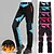cheap Pants-Women&#039;s Ski / Snow Pants Fleece Lined Pants Softshell Pants Fashion Winter Outdoor Fleece Softshell Pants / Trousers Bottoms Light Blue Red Blue Lilac Rose Red Skiing Camping / Hiking Ski / Snowboard