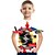 billige T-shirts &amp; Trøjer til Drenge-Drenge 3D Grafisk T-shirt Kortærmet 3D-udskrivning Sommer Aktiv Polyester Rayon Børn 3-12 år