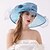 cheap Hats-Women&#039;s Elegant &amp; Luxurious Party Wedding Street Party Hat Flower Mesh Gold Wine Hat Portable Sun Protection Ultraviolet Resistant / Blue / Brown / Purple / Pink / Fall