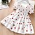 cheap Toddler Girls&#039; Dresses-Kids&#039; Paisley Print Chiffon Casual Dress
