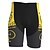 cheap Cycling Clothing-21Grams Men&#039;s Cycling Shorts Bike Mountain Bike MTB Road Bike Cycling Shorts Pants Sports Graphic Patterned Green Blue 3D Pad Breathable Quick Dry Spandex Polyester Clothing Apparel Bike Wear