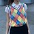 cheap Sweaters-Women&#039;s Vest Rainbow Plaid Argyle Embroidery Knitted Stylish Basic Casual Sleeveless Regular Fit Sweater Cardigans Fall Spring V Neck Rainbow / Holiday / Going out