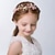 billige Barn Hodeplagg-barn baby jenters nye barnehårtilbehør kronejente hodeplagg prinsesse pannebånd jentehode blomst bursdag show tilbehør rosa
