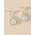 preiswerte Modische Ohrringe-1 Paar Tropfen-Ohrringe Ohrring Damen Hochzeit Geburtstag Geschenk Briolette Diamantimitate Aleación