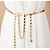 cheap Belts-Women&#039;s Chain Gold Silver Daily Vacation Belt Solid Colored / Winter / Spring / Summer / Alloy