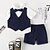 cheap Boys&#039; Clothing Sets-Children&#039;s Day Boys 3D Solid Colored Shirt &amp; Shorts Clothing Set Short Sleeve Summer Basic Cotton Polyester Toddler 1-4 Years School Birthday Festival Regular Fit