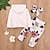 cheap Bottoms-3 Pieces Baby Vintage Girls&#039; Cotton Daily Floral Print Rose Print Regular Long Sleeve Hoodie &amp; Pants Clothing Set White / Fall / Spring