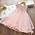 cheap Girls&#039; Dresses-Kids Little Dress Girls&#039; Solid Colored Print Blushing Pink Knee-length Sleeveless Basic Dresses Summer Regular Fit