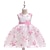 cheap Girls&#039; Dresses-Girls&#039; Floral Embroidered Tulle Princess Dress