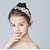 cheap Kids&#039; Headpieces-Kids Baby Girls&#039; Birthday Headdress Girls Princess Show Flower Head Girl Lady Hairpin Flower Girl Accessories Sweet Hair Accessories