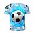baratos Conjuntos para Meninos-Para Meninos 3D Gráfico Futebol Americano Camisa Manga Curta Impressão 3D Verão Ativo Poliéster Infantil 4-12 anos Roupa Diária Normal