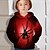 cheap Boys&#039; Hoodies &amp; Sweatshirts-Boys&#039; Red 3D Spider Print Pullover Hoodie