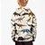 billige Hættetrøjer og sweatshirts til drenge-Børn Drenge Hattetrøje Langærmet 3D-udskrivning Dinosaurus Beige Børn Toppe Efterår Aktiv Regulær 4-12 år
