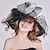 cheap Hats-Women&#039;s Party Hat Flower Mesh Party Wedding Street Royal Blue Black Flower Hat / White / Red / Orange / Fall / Summer