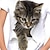 preiswerte 3D-T-Shirts für Mädchen-Kinder Mädchen T-Shirt Kurzarm Katze Grafik Tier Regenbogen Kinder Oberteile Aktiv nette Art 3-12 Jahre