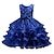 cheap Girls&#039; Dresses-Girls&#039; Diamond Lace Sequin Formal Dress