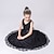 cheap Girls&#039; Dresses-Elegant Lace A Line Party Dress for Girls