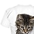 baratos camisetas 3d para meninas-Infantil Para Meninas Camisa Camiseta Manga Curta Gato Gráfico Animal Arco-íris Crianças Blusas Activo Estilo bonito 3-12 anos