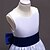 preiswerte Kleider für Mädchen-Kinder Wenig Mädchen Kleid Punkt Schleifenband Party / Abend Kastanienbraun Blau Purpur Ärmellos Formell Kleider Ganzjährig 4-13 Jahre