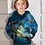 cheap Boys&#039; Hoodies &amp; Sweatshirts-Kids Boys Hoodie Pullover Long Sleeve 3D Print Dragon Colorblock Blue Children Tops Fall Active Regular Fit 4-12 Years