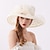 cheap Hats-Women&#039;s Party Party Wedding Special Occasion Party Hat Solid Color Flower Beige Black Hat Portable Sun Protection Ultraviolet Resistant / Casual / Gray / Fall / Winter / Spring