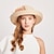 cheap Hats-Women&#039;s Elegant &amp; Luxurious Party Wedding Special Occasion Party Hat Solid Color Flower Lace Beige Black Hat Portable Sun Protection Ultraviolet Resistant / White / Fall / Winter / Spring