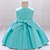 cheap Girls&#039; Dresses-Kids Little Girls&#039; Dress Solid Color Daily Vacation Skater Dress Embroidered Bean Paste Powder Meat meal Blue Knee-length Sleeveless Princess Cute Sweet Dresses Fall Winter Children&#039;s Day Regular Fit
