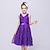 cheap Girls&#039; Dresses-Elegant Lace A Line Party Dress for Girls