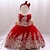 cheap Girls&#039; Dresses-Kids Little Girls&#039; Dress Solid Color Daily Vacation Skater Dress Embroidered claret Scarlet Colorful blue Knee-length Lace Tulle Sleeveless Princess Cute Sweet Dresses Fall Winter Children&#039;s Day