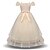cheap Girls&#039; Dresses-Kids Little Girls&#039; Dress Solid Color Daily Vacation Skater Dress Embroidered Blushing Pink Red Apricot Maxi Lace Tulle Short Sleeve Princess Cute Sweet Dresses Fall Winter Children&#039;s Day Regular Fit