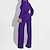 cheap Jumpsuits &amp; Rompers-Women&#039;s Jumpsuit Solid Colored Lace up Casual Daily V Neck Date Going out Long Sleeve Regular Fit Blue Black Purple S M L Fall