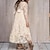 cheap Girls&#039; Dresses-Elegant Long Sleeve Lace Mesh Dress for Little Girls