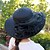 preiswerte Hüte-Damen Grundlegend Party Strasse Täglich Partyhut Einfarbig Blume Schwarz Weiß Hut Tragbar Sonnenschutz Atmungsaktiv / Blau / Herbst / Winter / Frühling / Sommer